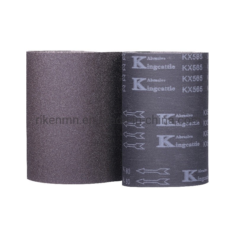 RMN-AX45 Grinding wheel  for curved polishing
